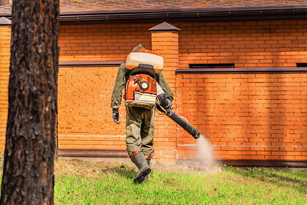 Trusted Termite Control service in Pierceton, IN - Nex Pest Control